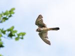 DSC_3647.jpg