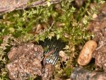 DSC_2618.jpg